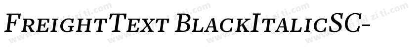 FreightText BlackItalicSC字体转换